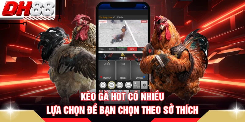 Kèo gà hot có nhiều lựa chọn đề bạn chọn theo sở thích