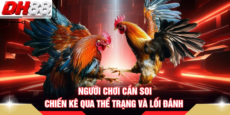 Người chơi cần soi chiến kê qua thể trạng và lối đánh